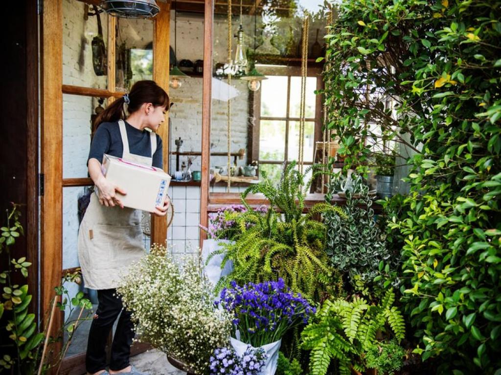 Как создать уютный вертикальный сад на балконе: что выращивать, и как ухаживать 